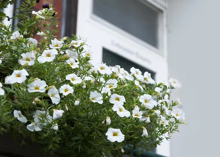 Hajo's Germania & Irish Pub Lodge